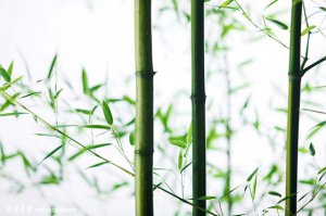 Ϊʲô���ӳ����֣�_����ֻ���߲����ֵ�ԭ��