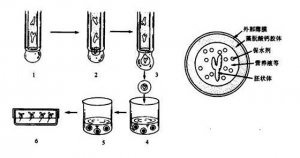 <b>�˹������ܴ�����Ȼ������</b>