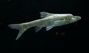 Ϊʲôä��û���۾���