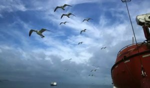 ��ŸΪʲôҪ�����ִ��ɣ�_��Ÿ׷�ִ���ԭ��