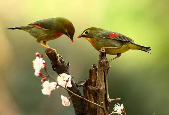 ˼˼,Ϊʲô˼