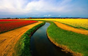 ������Ĺ��������_�������ԭ����