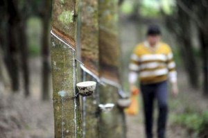 Ϊʲô����Ҫ���峿��ʼ��