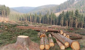 Ϊʲô������Բ�ģ�_���ɶ�����Բ�ε�ԭ��