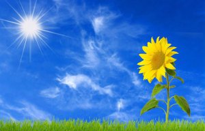 ���տ�Ϊʲô������̫��ת_���տ�������ôת����