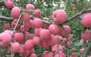 ����Ϊʲô�д�С�ꣿ������С�����취