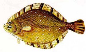 Ϊʲô��Ŀ����۾�����ͬһ�ࣿ