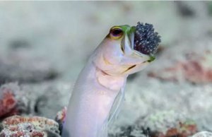 ��Щ��Ϊʲô�����ѣ�_��Ե��Լ��ѵ�ԭ��