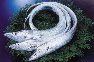 ������ʲô�ص㣿