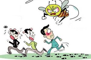 Ϊʲô�۷��ݹ��˺������