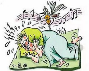 Ϊʲô���������ڶ������˽У�