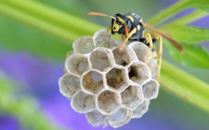 Ϊʲô���������������_������������ô�죿