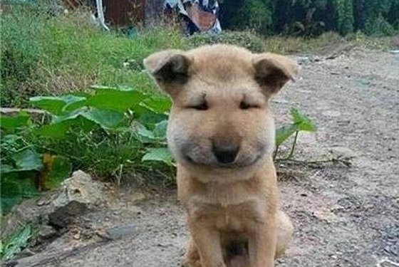 Ϊʲô,ô
