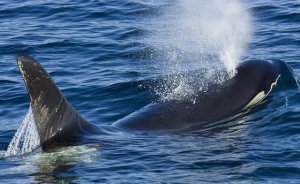 Ϊʲô�������ˮ_���㾭����ˮ����ԭ��