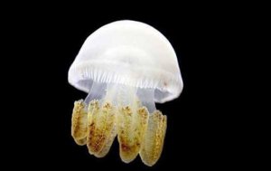 Ϊʲô���ػ����ˣ�_�����������Ժ���ô�죿