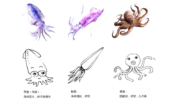 �������û��������,���������ṹ