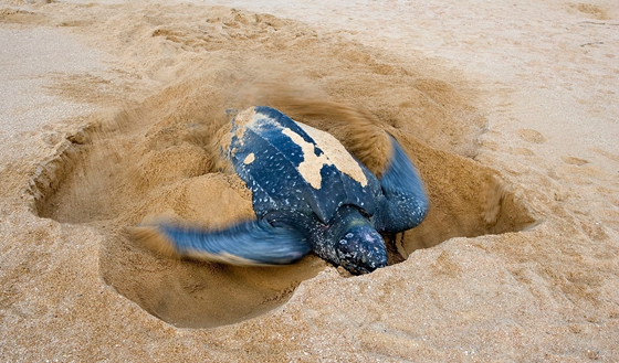 ΪʲôҪ