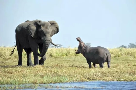 Ϊʲô��������ٶ�����ͷ����