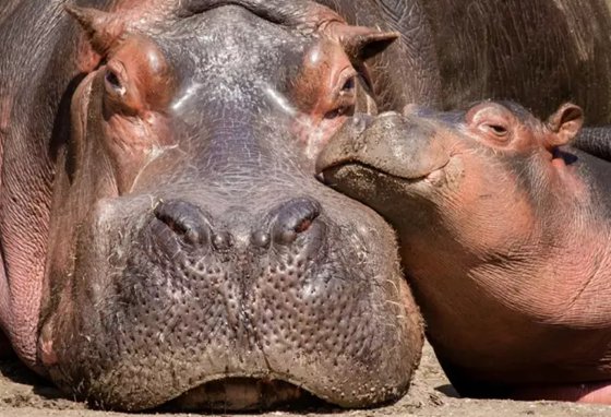 Ϊʲô��������ٶ�����ͷ����