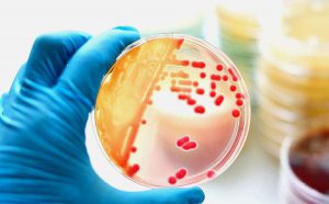 <b>����������ʲô��˼_�¹ڲ�������������ôԤ����</b>