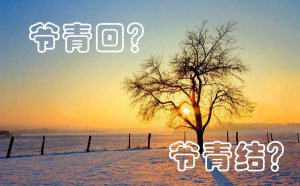 ү��غ�ү�����ʲô��˼_ү��غ�ү��������