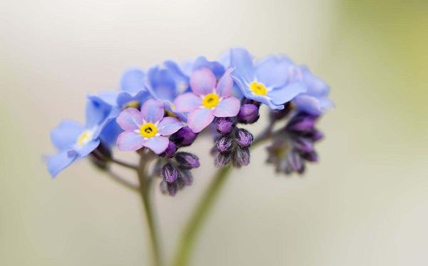 �����ҵĻ�����ʲô,�����ҵĻ����ȫ