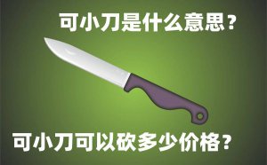 ��С����ʲô��˼_��С��һ����Կ����ټ۸�