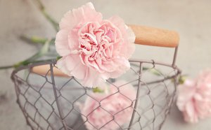 ����ܰ�Ļ�����ʲô_����ܰ�Ļ����ȫ