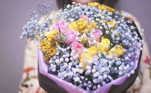 �����ǵĻ�����ʲô_�����ǻ����ȫ