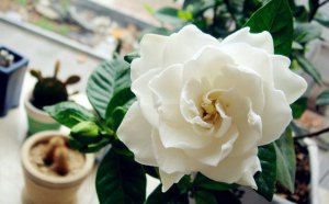 ���ӻ��Ļ�����ʲô_���ӻ������ȫ