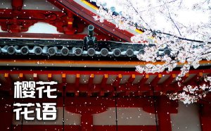 ӣ���Ļ�����ʲô_ӣ�������ȫ