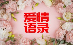 ��д�������������_���䰮��������¼