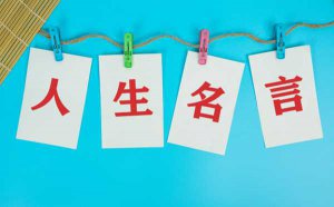 ������������������_������������������