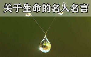 90�������������������_�й��������������Ծ���