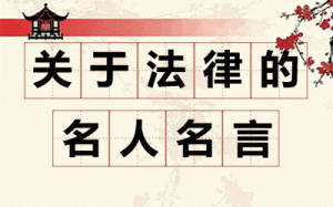 ���ڷ��ɵ����Ծ����ȫ_�й����ط��ɵ��������Դ�ȫ