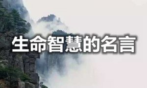 ���������ǻ۵���������