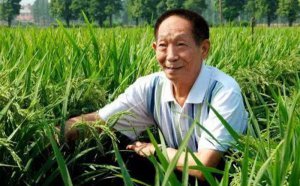 ��Ԭ¡ƽͬ־ѧϰ�ĵ���᷶��5ƪ