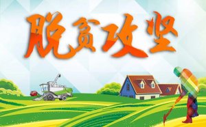 2021��ƶ�ɲ���ƶ������ô���ĵ����5ƪ