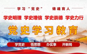 ��ѧ����ʷ�������ѧϰ�ĵ���᷶��5ƪ