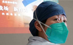 2020���������ٹ����ۺ�����ľ�ѡ10ƪ