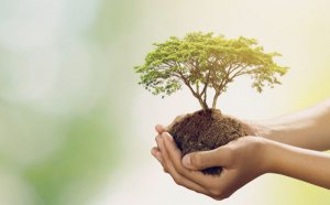 �������̸̸��ʦ���ھ�ҵ�ķ���5ƪ