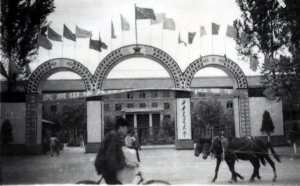 ��Ǩ��������ǵ���ʾ_��Ǩ�������ʵ��������Щ��