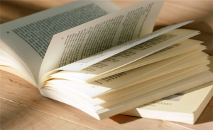 ���ֽ�����ѵ