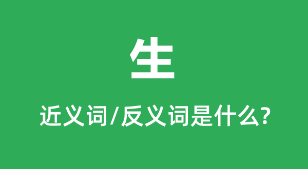 ���Ľ���ʺͷ������ʲô,����ʲô��˼