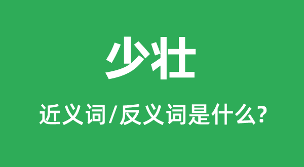 ��׳�Ľ���ʺͷ������ʲô,��׳��ʲô��˼