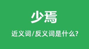 ���ɵĽ���ʺͷ������ʲô_������ʲô��˼?