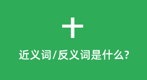 ʮ�Ľ���ʺͷ������ʲô_ʮ��ʲô��˼?