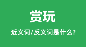 ����Ľ���ʺͷ������ʲô_������ʲô��˼?