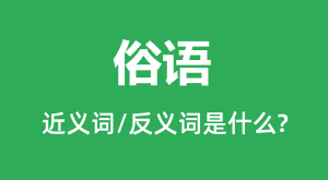 ����Ľ���ʺͷ������ʲô_������ʲô��˼?