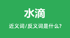 ˮ�εĽ���ʺͷ������ʲô_ˮ����ʲô��˼?